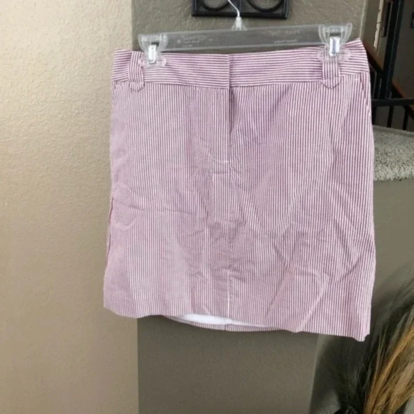 Ann Taylor Loft Petite Aline Stripe Skirt Size 4 P - Picture 1 of 5